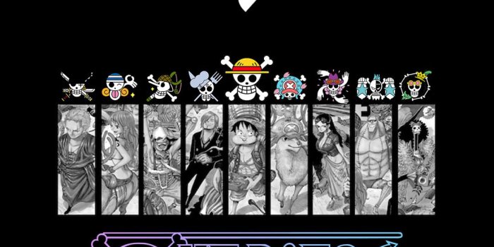 1080x1920 One Piece Mobile HD wallpaper download