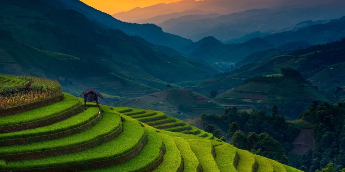 1920x1280 4546516 nature, mist, landscape, sunset, Vietnam, field, green, sunlight,  terraces, rice paddy - Rare Gallery HD Wallpapers