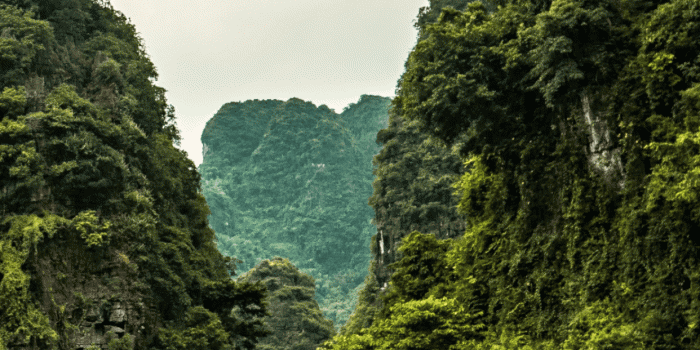 1242x2688 Vietnam Wallpaper for iPhone 11, Pro Max, X, 8, 7, 6 - Free Download on  3Wallpapers