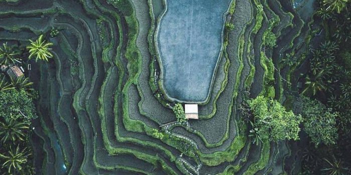 759x1349 Vietnam Farms Nature IPhone Wallpaper - IPhone Wallpapers : iPhone  Wallpapers