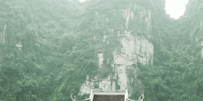 1242x2688 Vietnam Wallpaper for iPhone 11, Pro Max, X, 8, 7, 6 - Free Download on  3Wallpapers