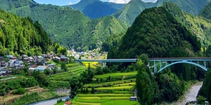 1125x2436 Rice Terraces of Vietnam iPhone X Wallpapers Free Download
