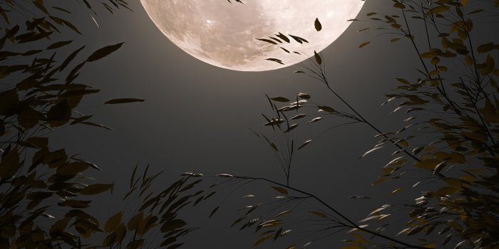 2000x3555 Moon Wallpaper HD - Pixexid