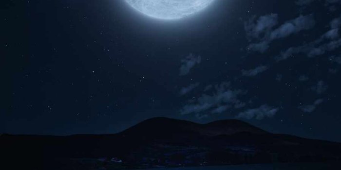 900x1600 Moonlight In Nature - IPhone Wallpapers : iPhone Wallpapers