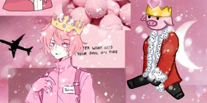 1080x2110 Technoblade Aesthetic | Mc wallpaper, Technoblade fanart wallpaper, Team  wallpaper