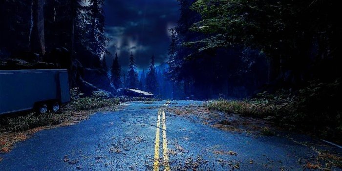 900x1600 Forest moon light mobile wallpaper - HD Mobile Walls