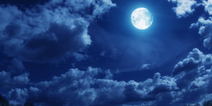 2560x1600 Moonlight Night HD wallpaper