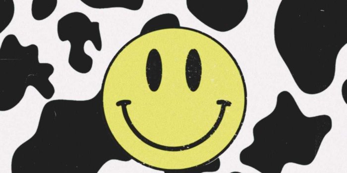 1242x1656 Smiley Face Wallpaper Browse Smiley Face Wallpaper with collections of  Black, Iphone, Pink, Simple, … | Cow wallpaper, Cow print wallpaper, Iphone  wallpaper pattern