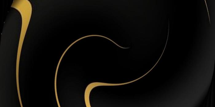 1080x1920 Black And Gold Wallpapers - Top Best Black And Gold Wallpapers Download [  HD ]