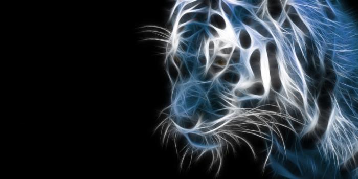 1126x845 46+] Cool Glow Wallpapers - WallpaperSafari