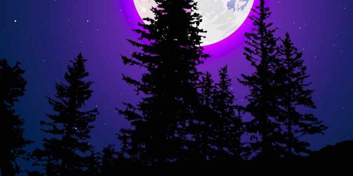 900x1600 Moon Glow In Night IPhone Wallpaper - IPhone Wallpapers : iPhone Wallpapers
