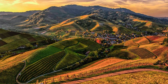 5472x3648 7,000+ Best 4k Wallpaper Images · 100% Free Download · Pexels · Free Stock  Photos