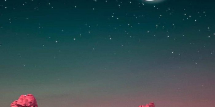 844x1500 Full HD Wallpapers | Ultra HD 4K Wallpapers for Phone & Desktop - Best  Wallpapers