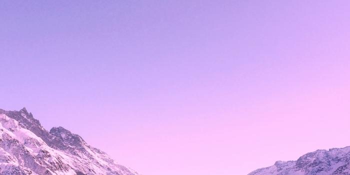 1000x1895 Purple Wallpapers: Free HD Download [500+ HQ] | Unsplash