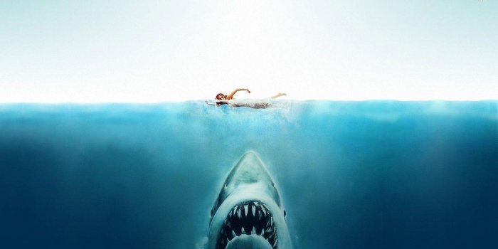 1920x1080 Jaws Wallpapers - Top Free Jaws Backgrounds - WallpaperAccess