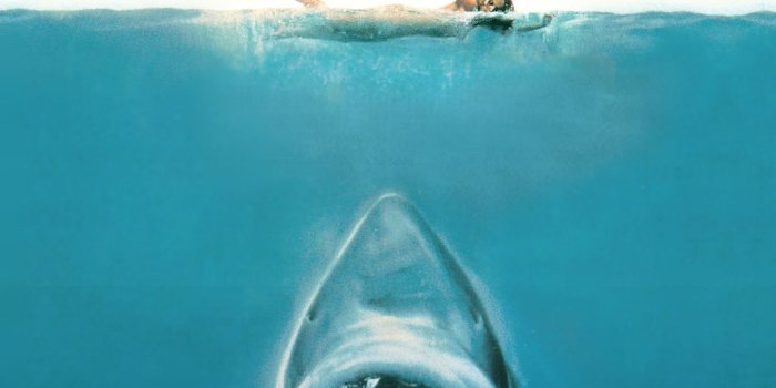 1545x1869 Jaws Movie Wallpapers