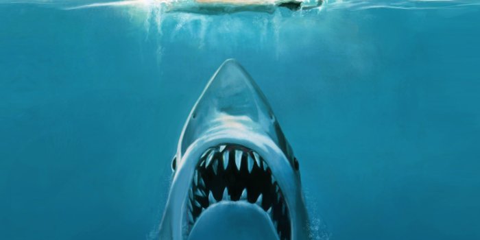 2560x1600 Jaws 4K wallpapers for your desktop or mobile screen free and easy to  download
