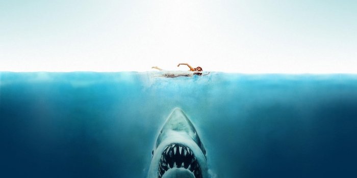 1920x1200 1110423 sea, shark, movies, blue, underwater, split view, Great White  Shark, Jaws, ocean, computer wallpaper, atmosphere of earth, extreme sport  - Rare Gallery HD Wallpapers