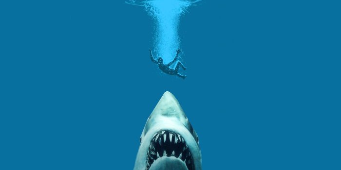 1680x1050 47+] Jaws Wallpaper Widescreen - WallpaperSafari