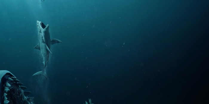 1332x850 Wallpaper man, shark, jaws, The meg, Megalodon images for desktop, section  фильмы - download