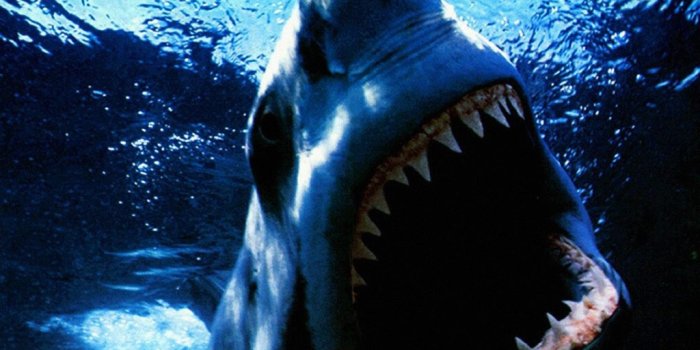 1024x768 Jaws - Horror legends Wallpaper (26034423) - Fanpop