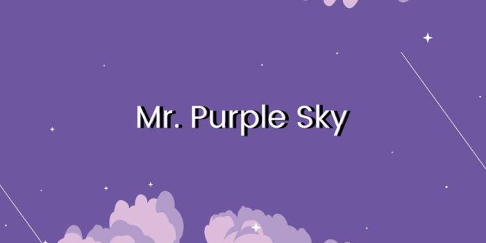 880x1564 Purple Phone Wallpaper - JPG | Template.net