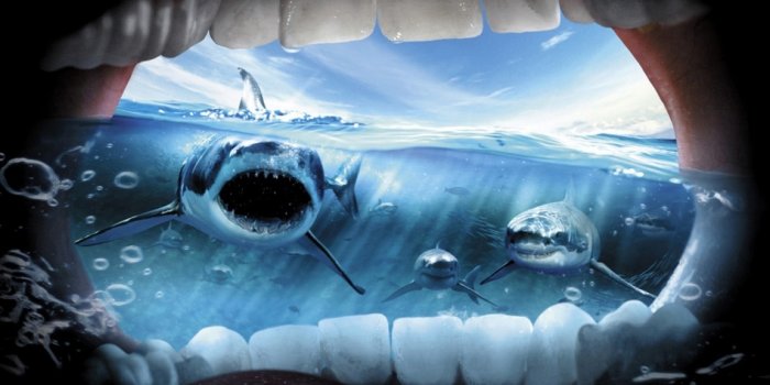 1152x864 Jaws Desktop wallpapers 1152x864