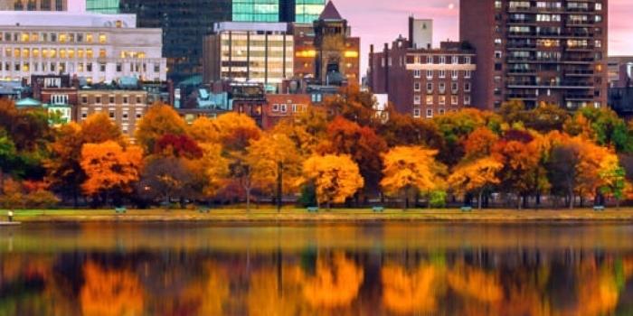 1125x2436 1125x2436 Boston City Buildings Iphone XS,Iphone 10,Iphone X Wallpaper, HD  City 4K Wallpapers, Images, Photos and Background - Wallpapers Den