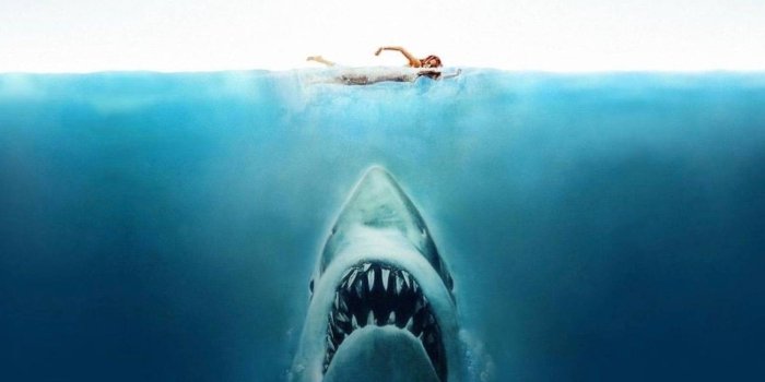 1600x900 20 facts you might not know about Jaws | Yardbarker