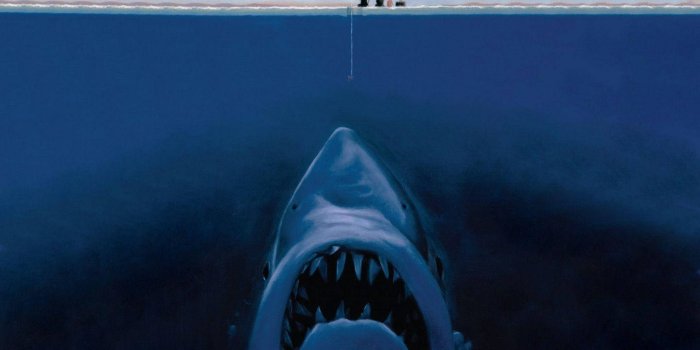 1440x1050 Free Jaws Wallpaper Downloads, [100+] Jaws Wallpapers for FREE | Wallpapers .com