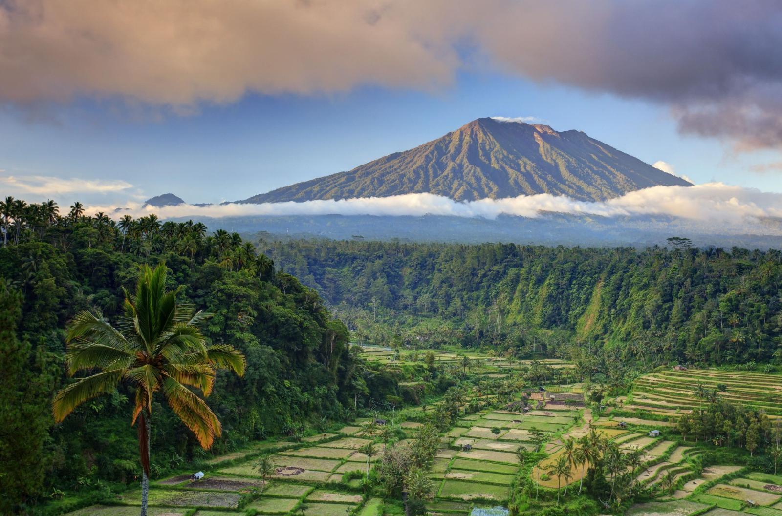 3840x2539 3840x2539 bali 4k best photos for wallpaper | Bali, Bali location, Rice  terraces