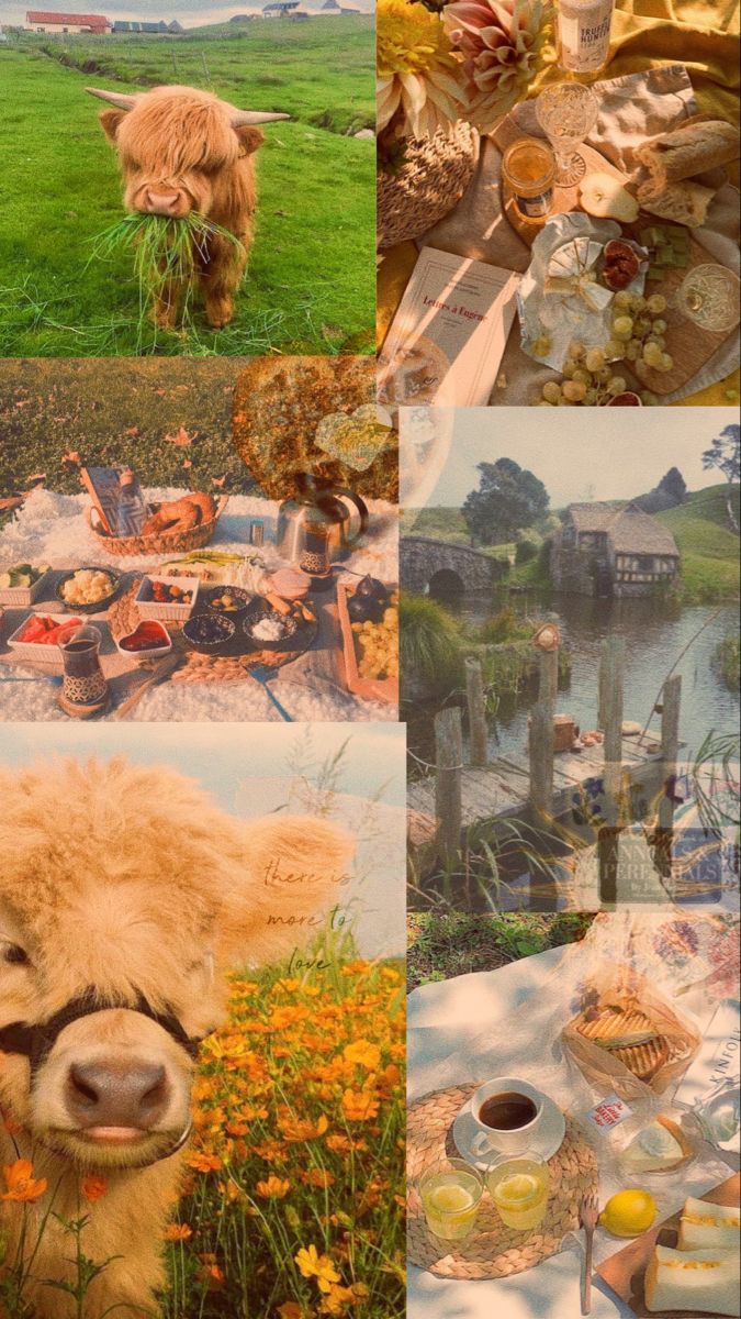 675x1200 cottage core ✨ | Cottage core wallpaper, Cottage core background, Aesthetic  cottage