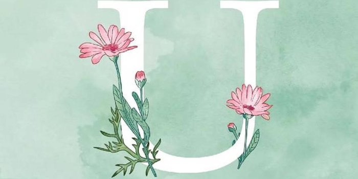 945x1920 Free Letter U Wallpaper Downloads, [100+] Letter U Wallpapers for FREE |  Wallpapers.com