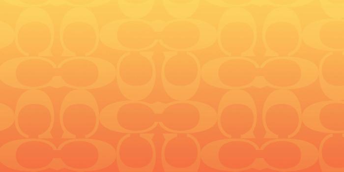 1920x1080 Free Coach Pictures , [200+] Coach Pictures for FREE | Wallpapers.com