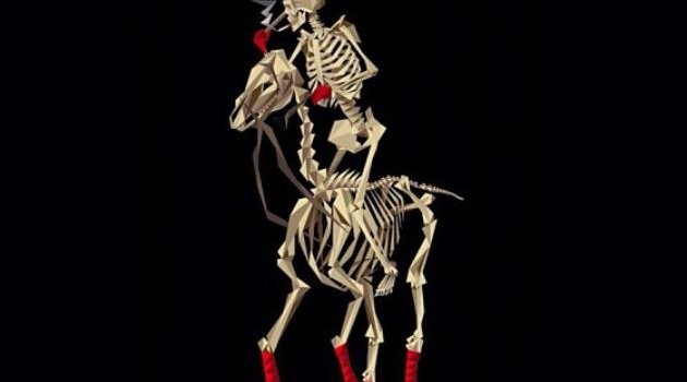 630x1280 Polo wallpaper by Wo0gs - Download on ZEDGE™ | d645