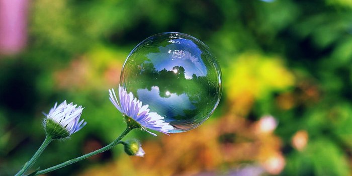 2560x1600 70+ Bubble HD Wallpapers and Backgrounds