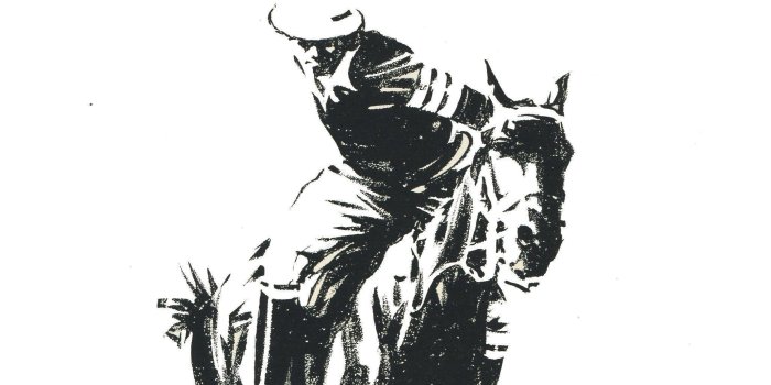 2053x3167 Polo Ralph Lauren Logo Wallpapers