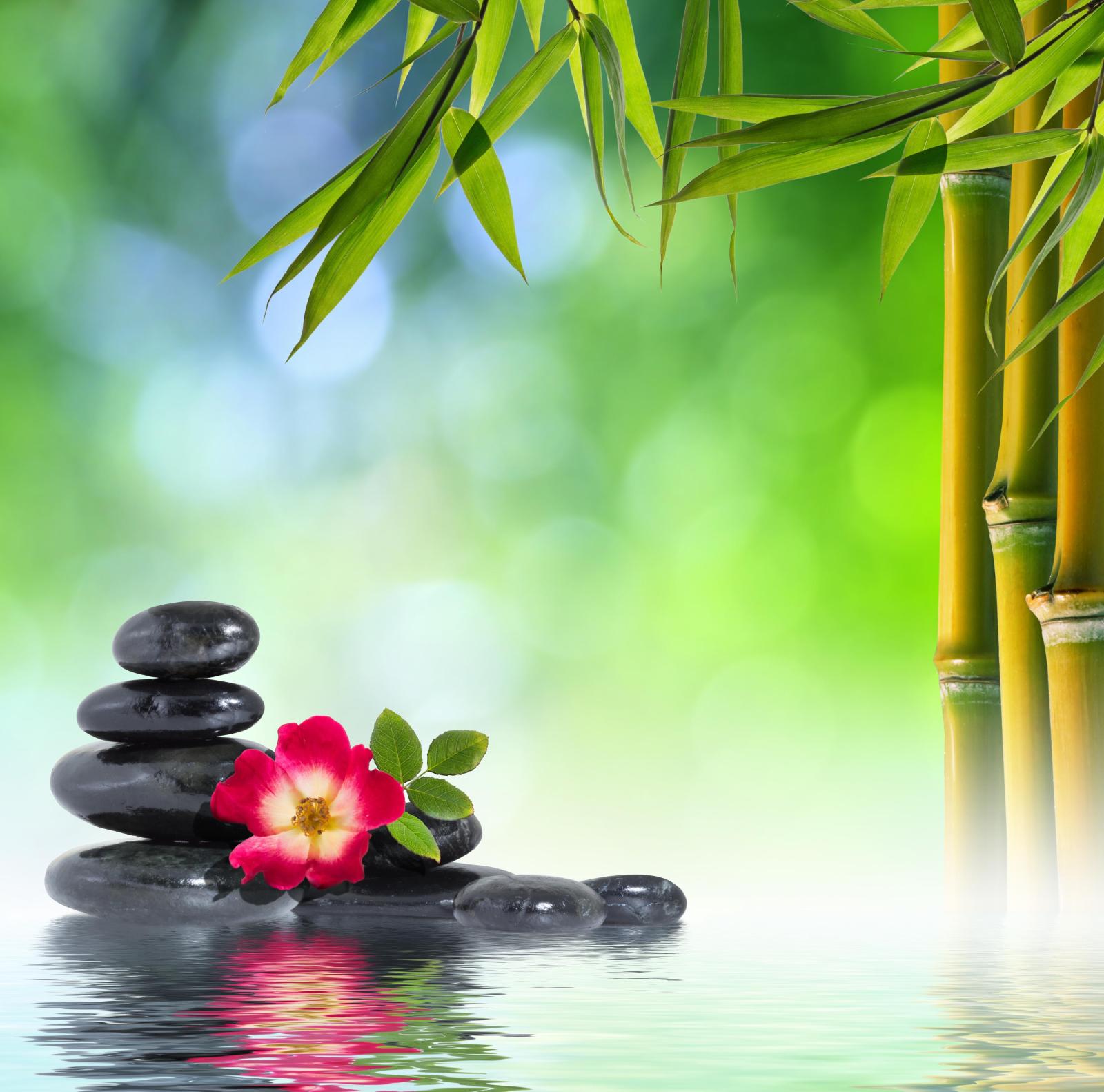 4950x4895 RELAXING WALLPAPER - (#127815) - HD Wallpapers - [wallpapersinhq.pw] |  Painting flowers tutorial, Zen pictures, Bamboo background