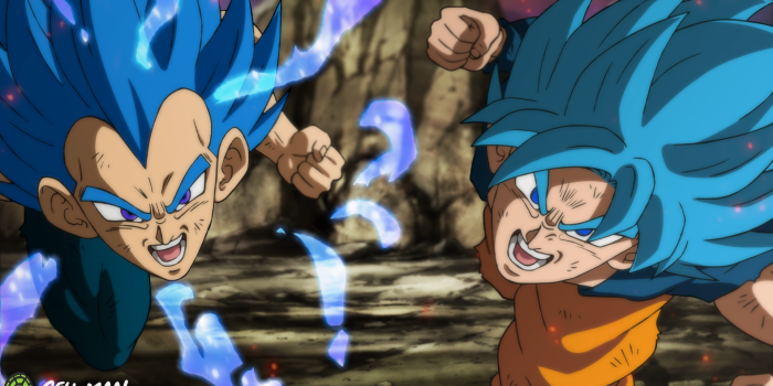 1920x1080 Goku & Vegeta SSB by therealcellman