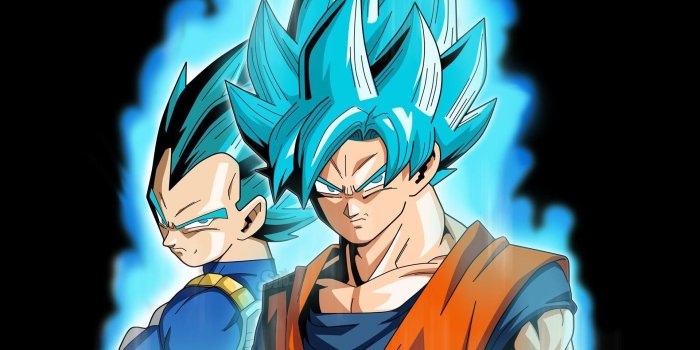 1920x1080 Goku and Vegeta Super Saiyan Blue DB… Wallpaper #6616