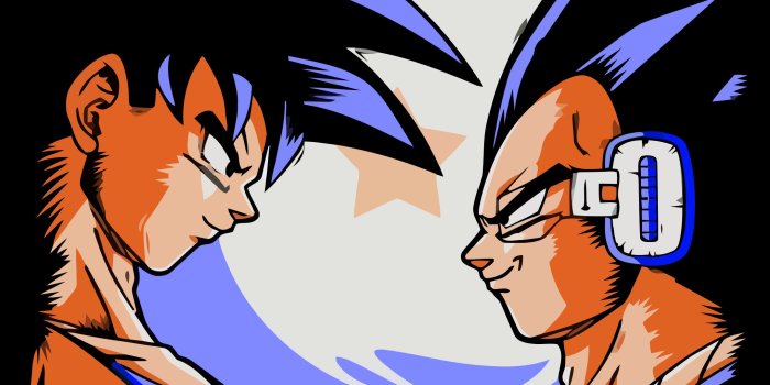 2160x3840 Goku and Vegeta iPhone Wallpapers - Top Free Goku and Vegeta iPhone  Backgrounds - WallpaperAccess