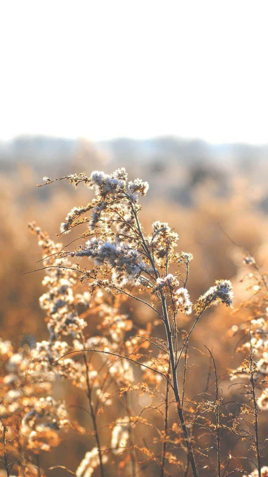 900x1599 Free Relaxing Wallpaper Downloads, [200+] Relaxing Wallpapers for FREE |  Wallpapers.com