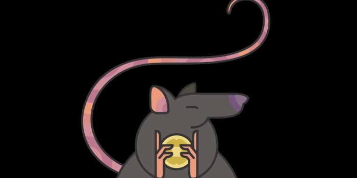 1284x2778 Best Rat iPhone HD Wallpapers - iLikeWallpaper