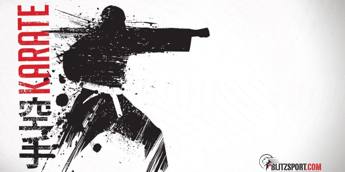 2560x1600 Karate Wallpapers - Top Free Karate Backgrounds - WallpaperAccess