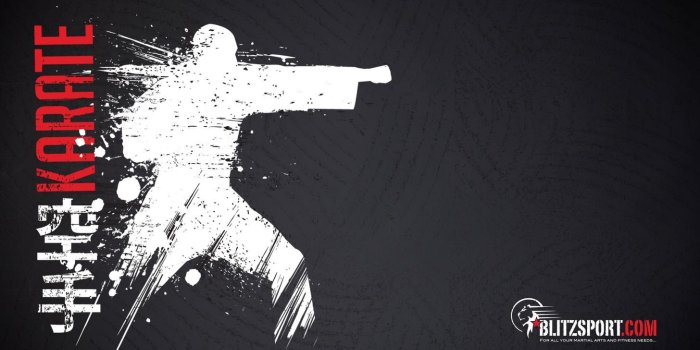 1456x910 Pin on Karate