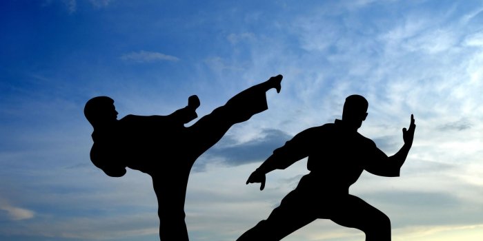 2309x1732 silhouette photo of men doing karate The sky #Sport #Battle #Wallpaper  #Shadows #Blow #Fighters The fight #Silhouette Mar… | Martial arts, Karate,  Silhouette photos