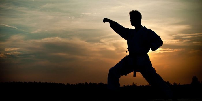 1440x900 Martial Arts Hd Wallpapers