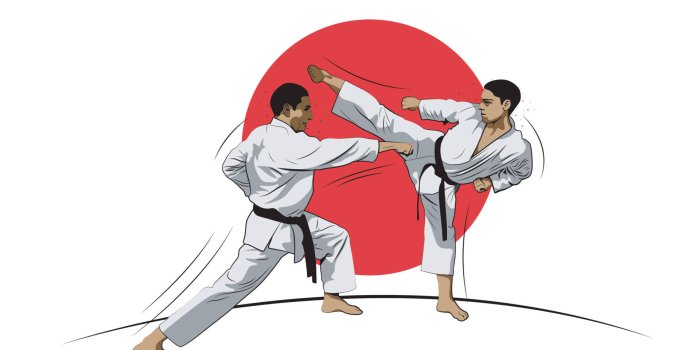 1920x1301 Download Karate Drawing Fight Japan Flag Wallpaper | Wallpapers.com
