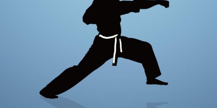 1026x1858 Karate Wallpaper 4K APK per Android Download