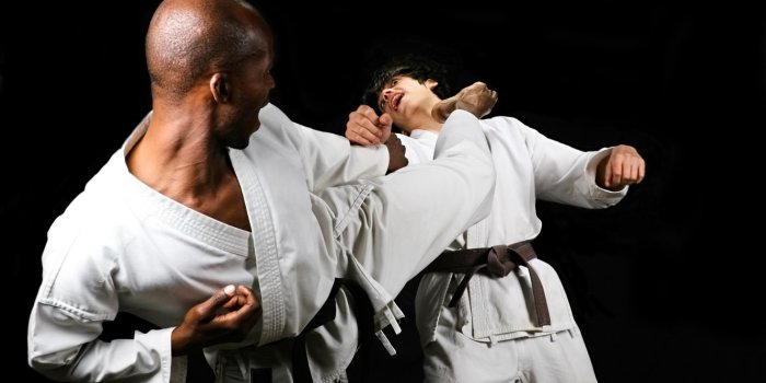 1332x850 Wallpaper fight, training, kick, karate images for desktop, section спорт -  download